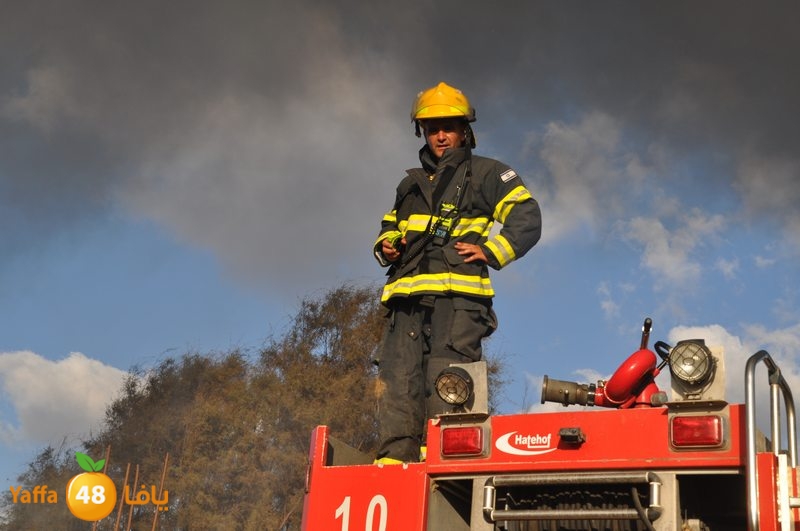 fire kargalsaj (19).JPG